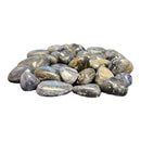 Blue Aventurine Tumble Polished Stones - Gem Center USA INC