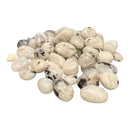 Rainbow Moonstone Tumble Polished Stones - Gem Center USA INC