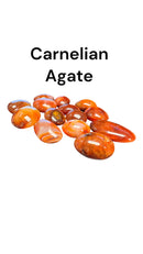 Large Pebble Shape Tumble Polished Stones - Gem Center USA INC