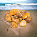 Sea Fossil Jasper Tumble Polished Stones - Gem Center USA INC