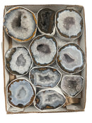 Las Choyas Coconut Polished Geodes in a flat box B+ - Gem Center USA INC