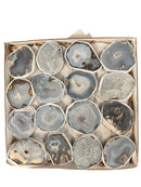 Las Choyas Coconut Polished Geodes in a flat box B+ - Gem Center USA INC