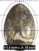 Polished Crystal or Stone Eggs - Gem Center USA INC