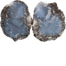 Choyas Coconut Solid Nodules