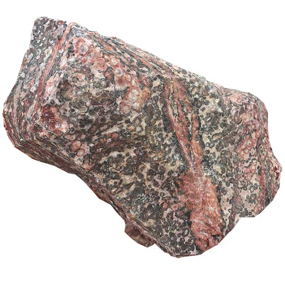 Red Leopard Skin Jasper Lapidary Rough - Main Image