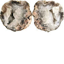 Chihuahua Tranca Semi Hollow Geodes