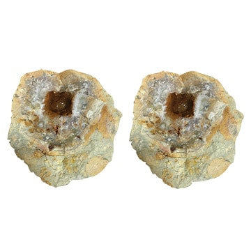 Geodes: The rocks with a crystal surprise inside!