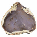 Purple Agate Lapidary Rough Mexico