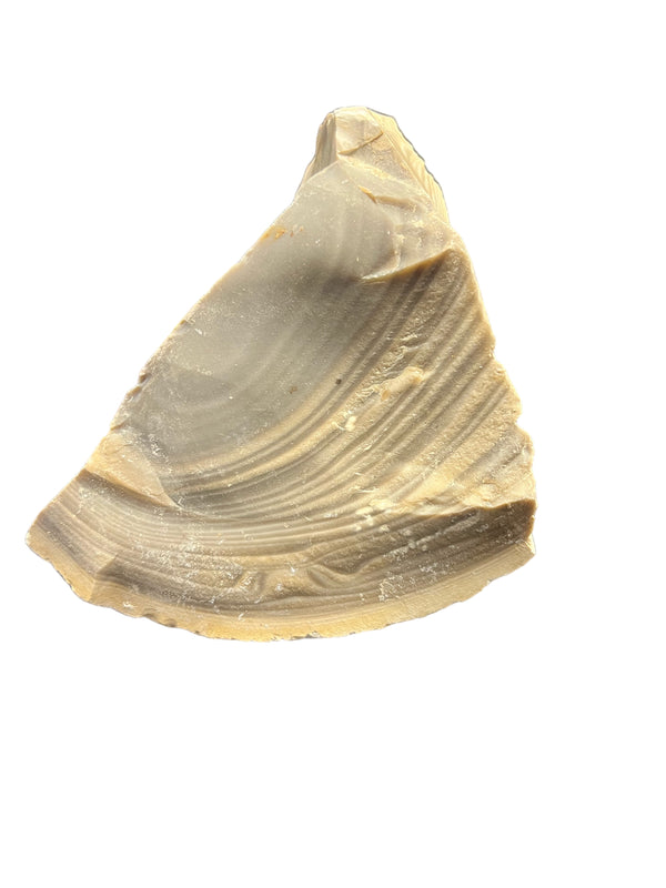 Polish Flint Lapidary Rough - Gem Center USA INC