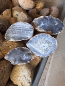 Bluish Brazilian Agate Nodules Lapidary Rough