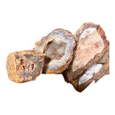 Fortification Agate Lapidary Rough - Gem Center USA INC