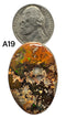 Fire Opal in Matrix from Magdalena Mexico Grade AAA-B - Gem Center USA INC