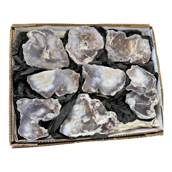 Polished Chalcedony Flats from Mexico