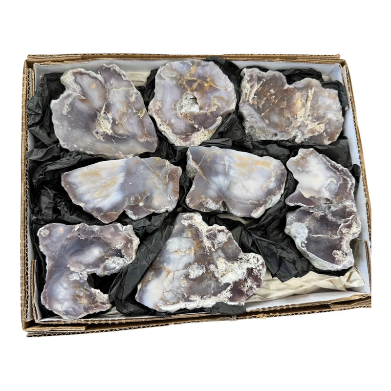 Polished Chalcedony Flats from Mexico