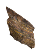 Tiger Iron Lapidary Rough