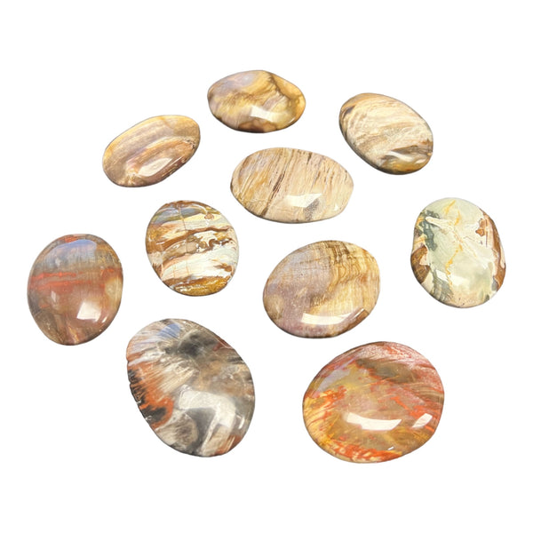 Petrified Wood Polished Stones 1/4 to 1/2 inch thick - Gem Center USA INC