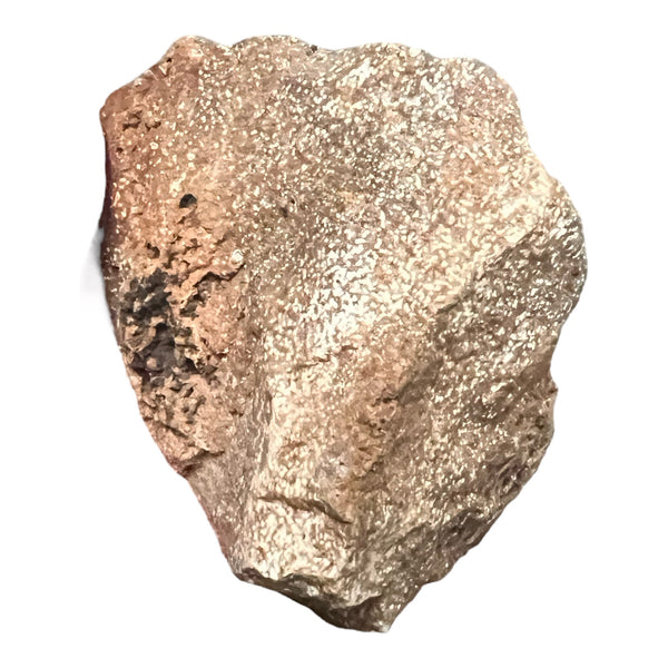 Dark Orbicular Jasper Lapidary Rough | Gem Center USA INC