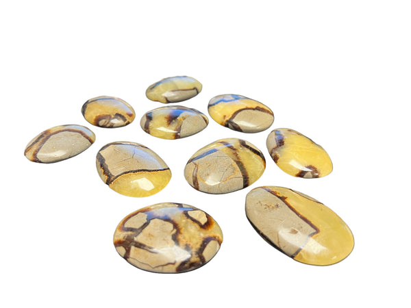 Septarian Polished Stones 1/4 to 1/2 inch thick