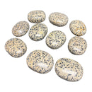 Dalmatian Jasper Palm Stones - Gem Center USA INC