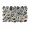 Oco B Grade Geode Flats - Gem Center USA INC