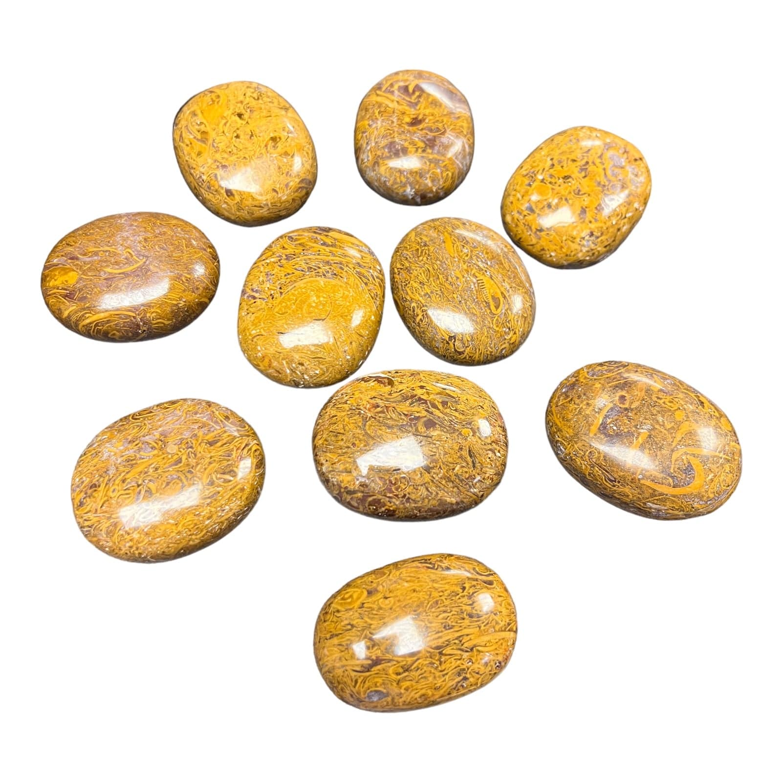 Sea Fossil Jasper Palm Stones Gem Center USA INC