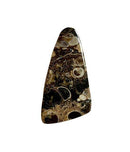 Turritella Agate Cabochons TURTIL - Gem Center USA INC