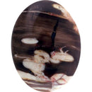 Peanut Wood Cabochons PWOD - Gem Center USA INC