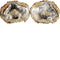 Enhydro Agate Geodes