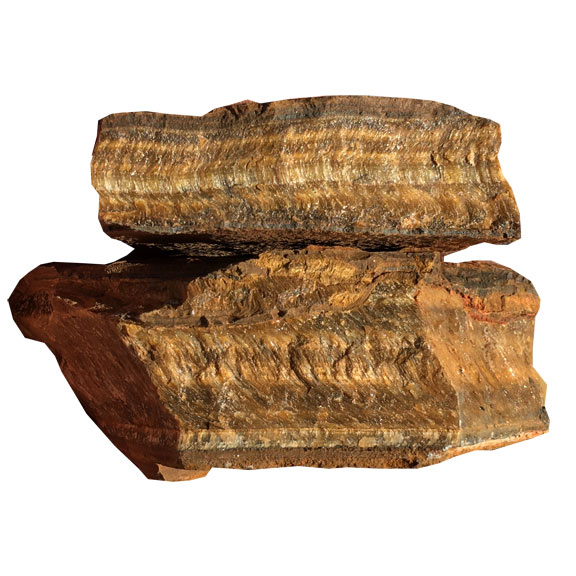 Petrified Wood Large Rough Rocks for Tumbling Size: 2 3 1 LB Bulk Rough  Rocks Rough Petrified Wood Decorative Stone-lapidary 