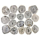 Chihuahua Trancas Polished Geode Flats in Bulk or Wholesale