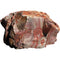 Red Canyon Jasper Lapidary Rough