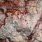 Rosetta Picture Rock Lapidary Rough