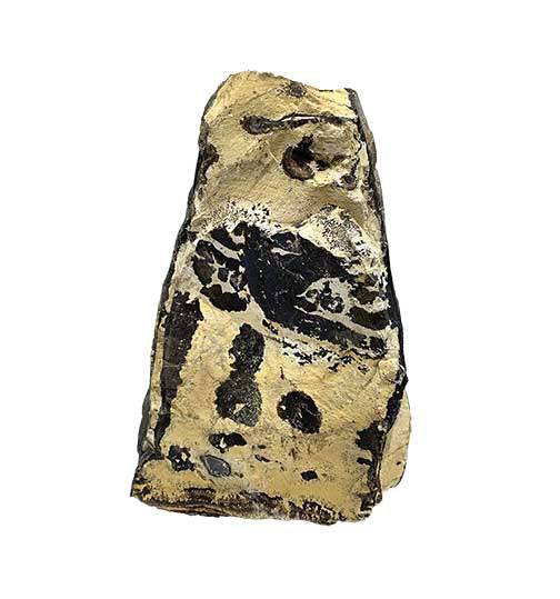 China Picture Jasper Lapidary Rough - Gem Center USA INC